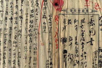 第一章 南方熊楠の生涯 | 南方熊楠菌類図譜